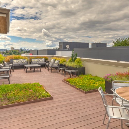 Roof Top Deck Roof Top Deck